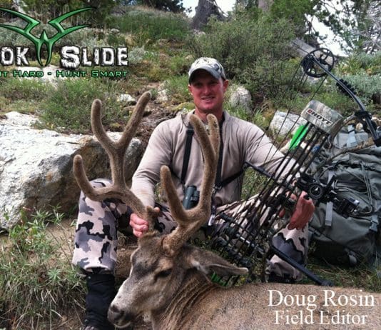 DOUG ROSIN doug rosin